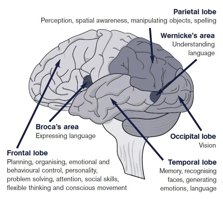 what is anoxic brain injury