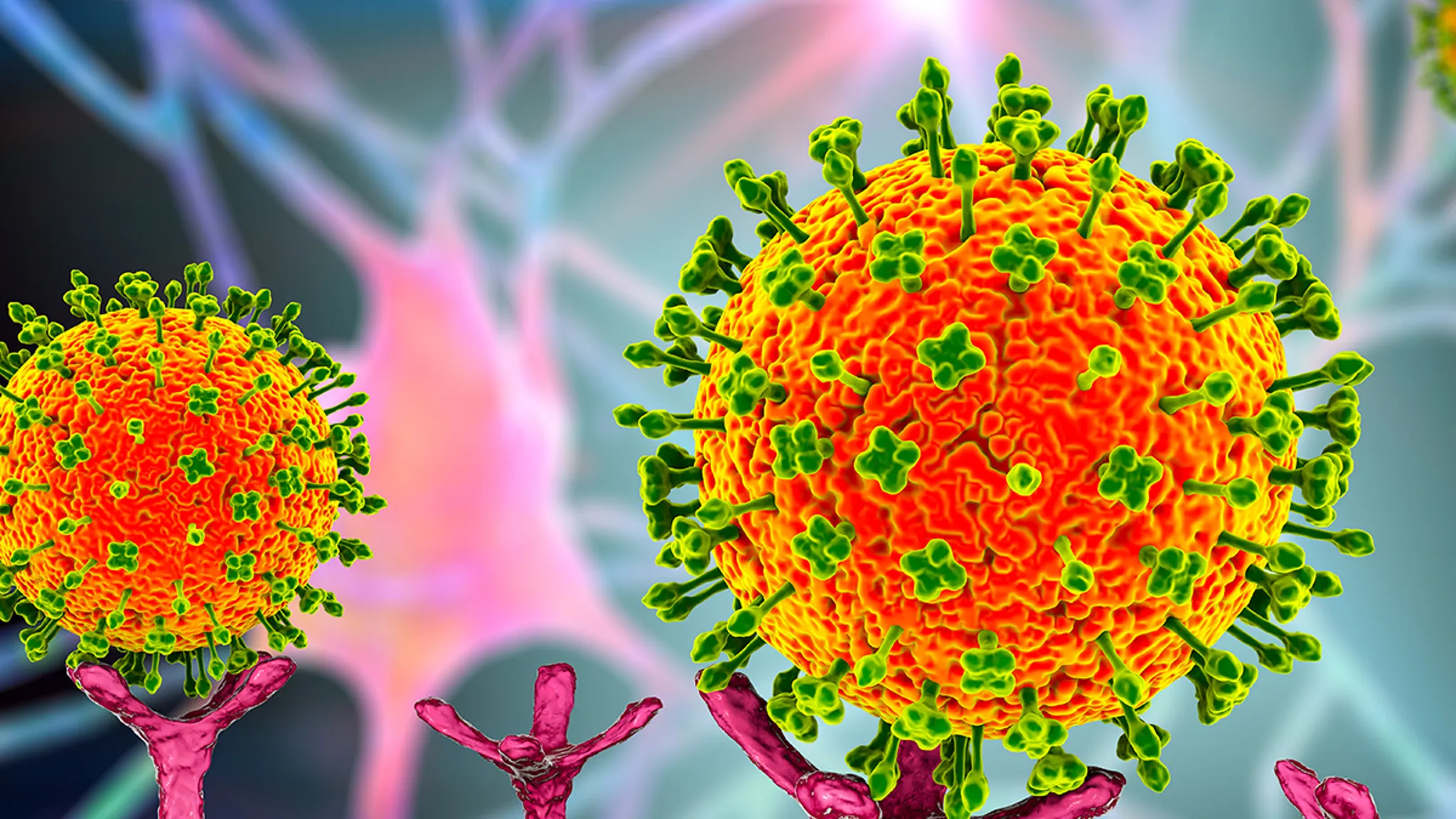 what is langya virus, symptoms of langya virus